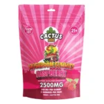 Raspberry Cactus Labs Amanita Muscara Mushroom Gummies 2500mg
