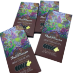 Magic Kingdom Chocolate Bar