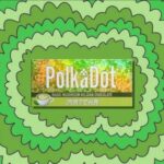 PolkaDot Mushroom Chocolate Bar - Matcha